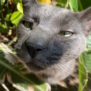 Meet your Posher, Lina